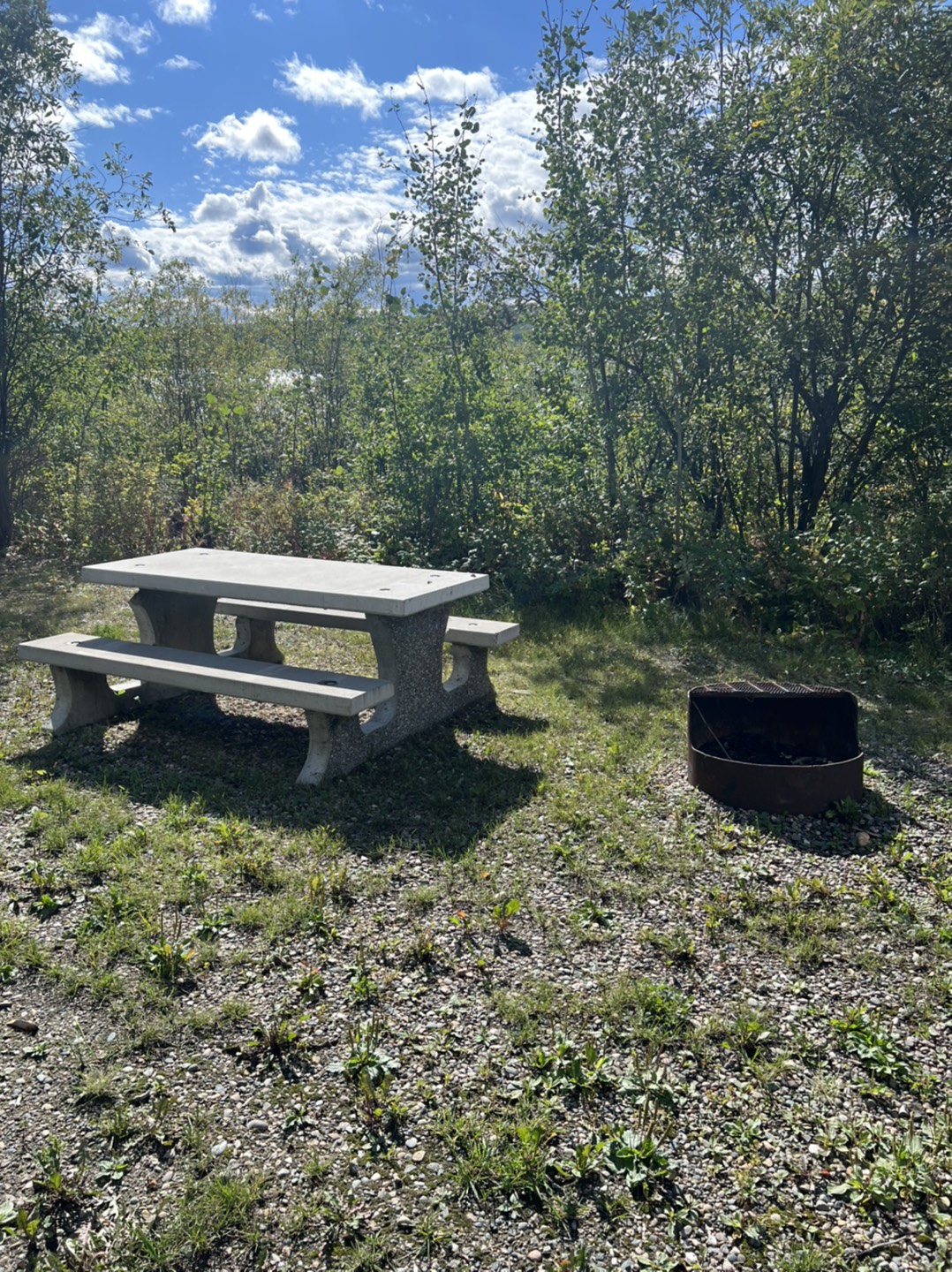 Park table and fire pit