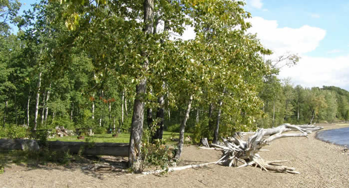 A view of the shoreline in Spencer Tuck Park